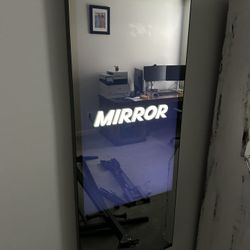 The Mirror Home Workout Device