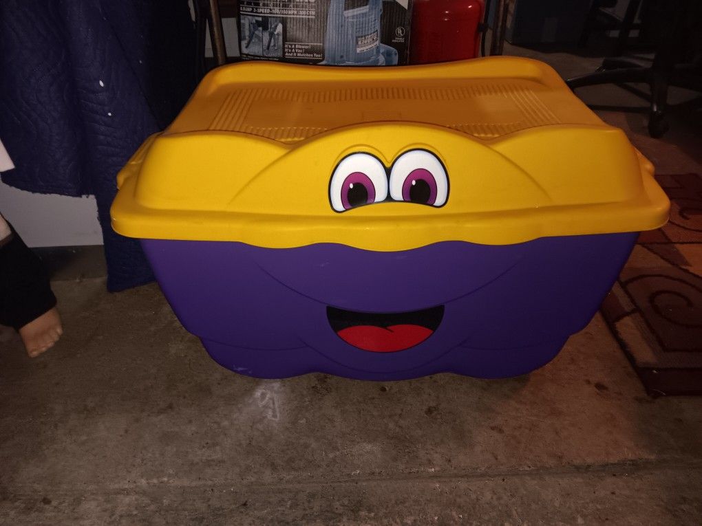 Large Toy Box