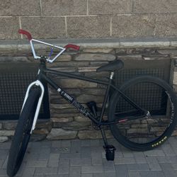Street Co 29er