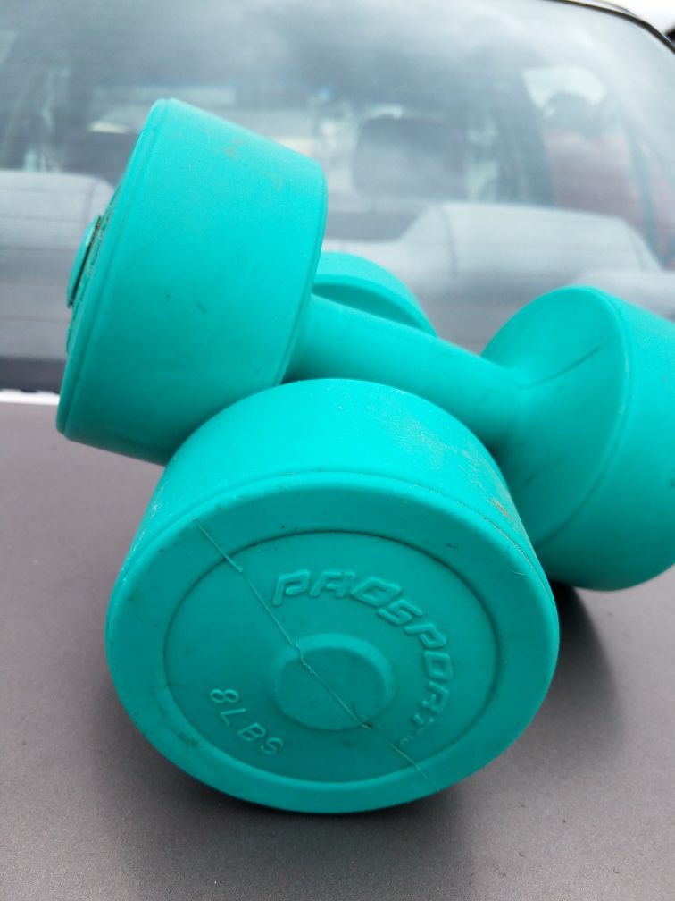 Weights; two 8 lb plastic  dumbbell  weights  - $25
