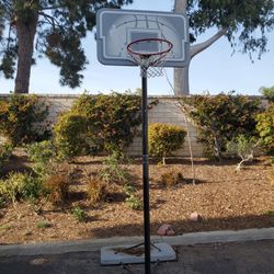 Lifetime Full Height Adjustable Basketball Hoop