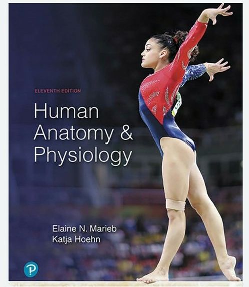 Human Anatomy and Physiology 11th ed by Elaine Marieb and Katja Hoeh 9780134580999 A&P eBook PDF Free instant Delivery