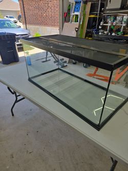 Zoo med 40 gallon tank