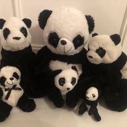Panda Bear plushies, Collection