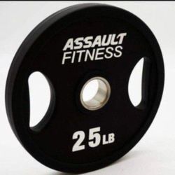 2 Inch Olympic Weights 