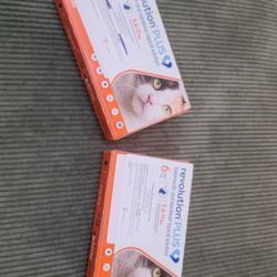 Revolution Plus For Cats