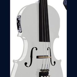 Violin With All Accessories 