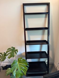 Crate and Barrel wooden leaning ladder shelf
