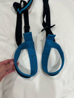 Dog mobility support harness