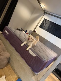 Brand New King Purple Rejuvenate Luxe (queen And Cal King Available)