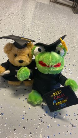 Grad bear and frog