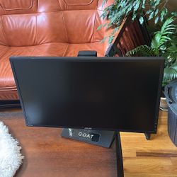 Asus Vg245