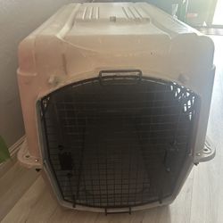 Pet Kennel