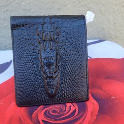 Beautiful Black Color Wallet
