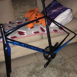 Road Bike (scattante)