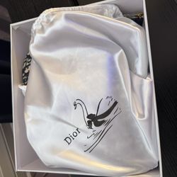 dior bag
