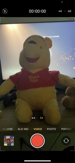 Winnie The Pooh 