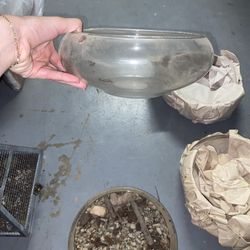 Glass Bowls/ Terrarium Pots