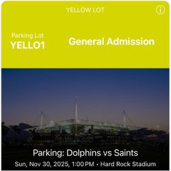 Yellow Parking Saints Vs dolphins 