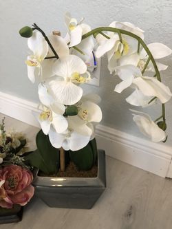 Fake plants