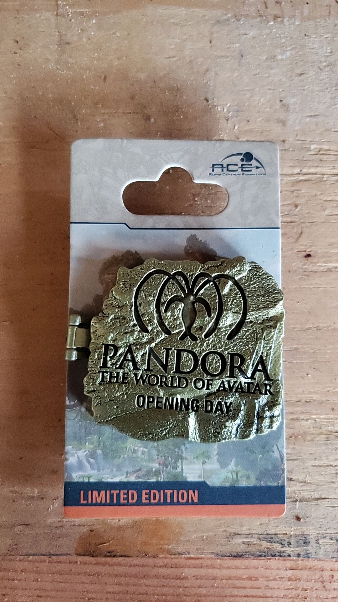 Disney pandora opening day limited edition pin