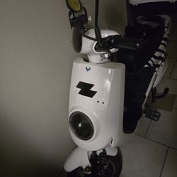 2022 Zebra Scooter
