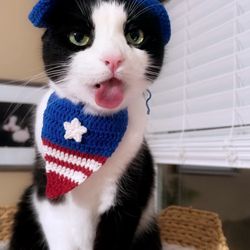 Handmade Crochet Cat Hat & Bandana Set