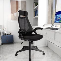 Hylone Office Desk Chair with Adjustable Lumbar
