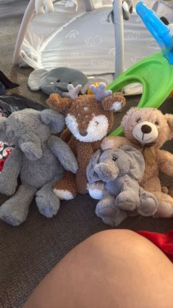 Plush Toys
