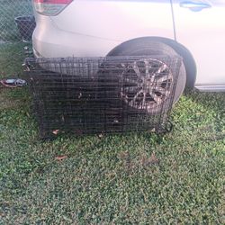 Large dog crate with divider