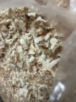 Wood Shavings