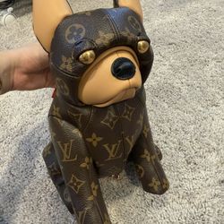 Louis Vuitton Pooch Bag