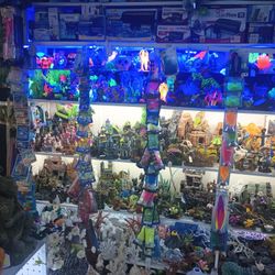 Aquarium  Fish Reptile Tank Decorations 