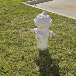 Iowa Fire Hydrants, White - 5 Available!