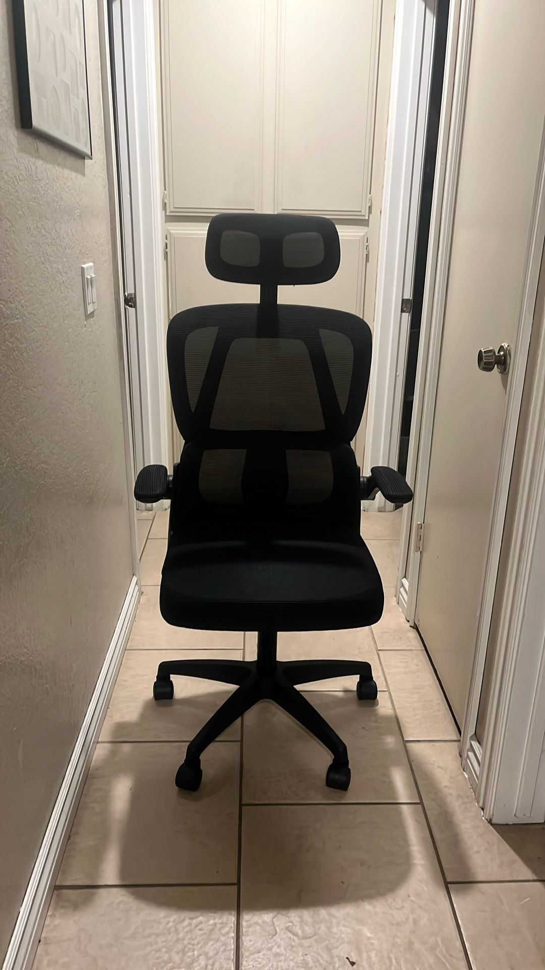 Ergonomic Office Chair