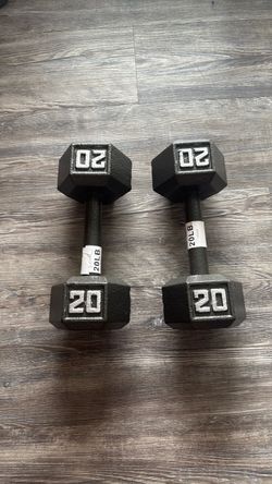 Two 20 lb weights