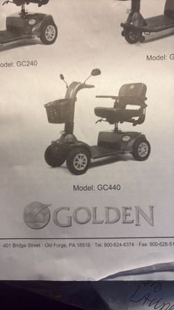 Companion scooter