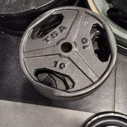 10 LB Weight Plates 