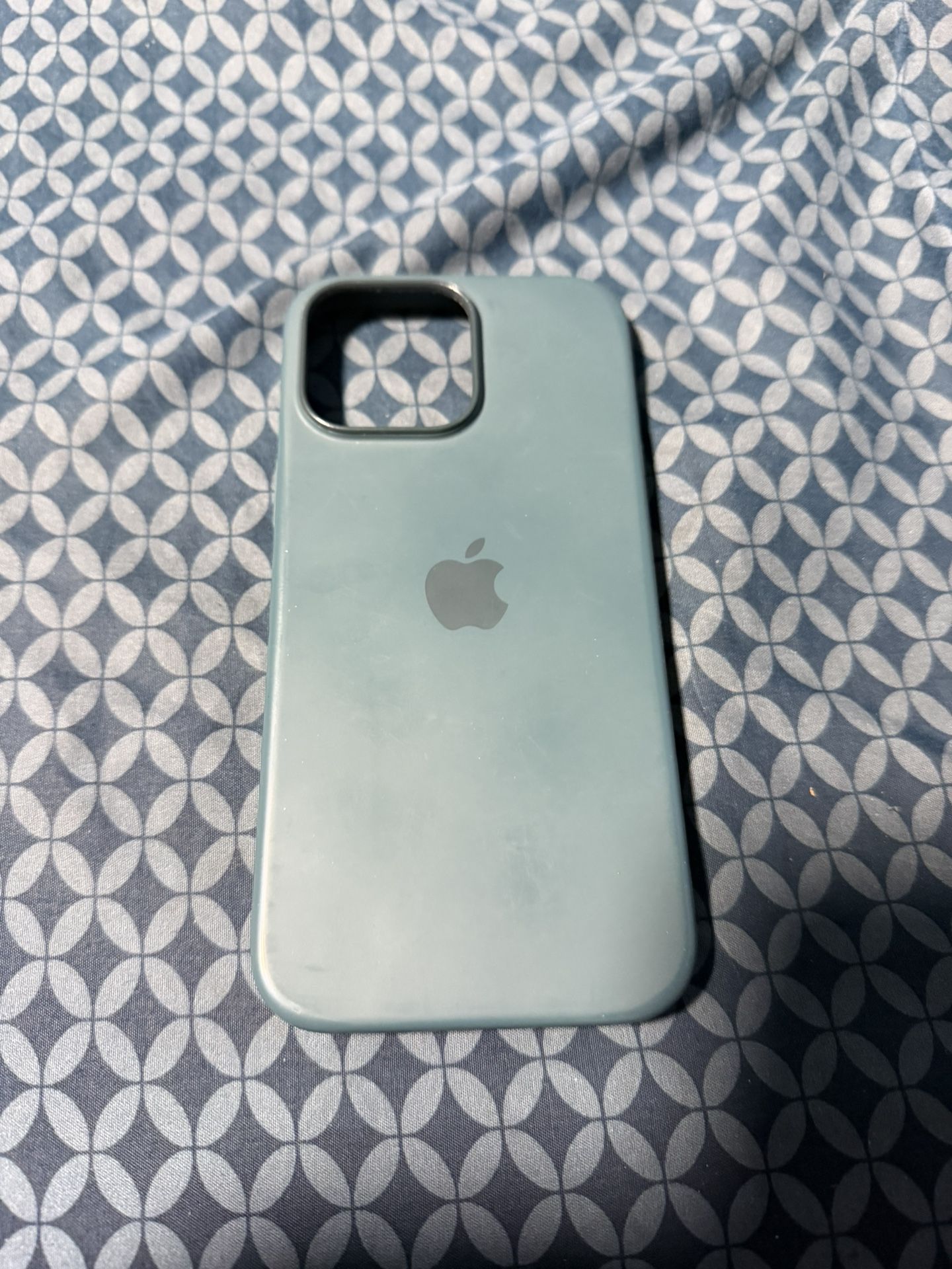IPHONE 16 Pro Max Apple Case! 