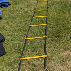 Agility ladder training aid skilz