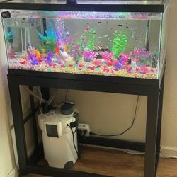 Fish Tank Set 