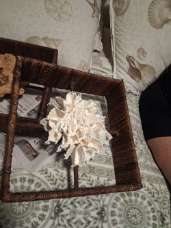 Coral decor piece