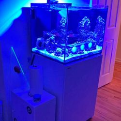 RedSea Reefer 170 + EcoTech Radion XR 15 Blue