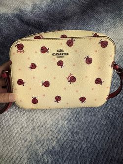 Coach Mini Camera Crossbody Bag