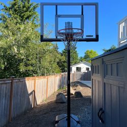 Lifetime Basketball Hoop - Pending Pickup