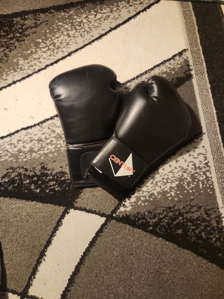 Boxing Gloves 14 Oz