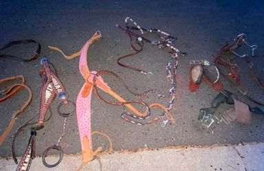 Misc Horse Tack