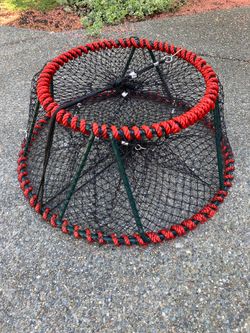 Shrimp / Prawn trap