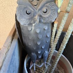 Owl Metal Decoration 