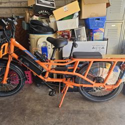 Radwagon Electric Bike 